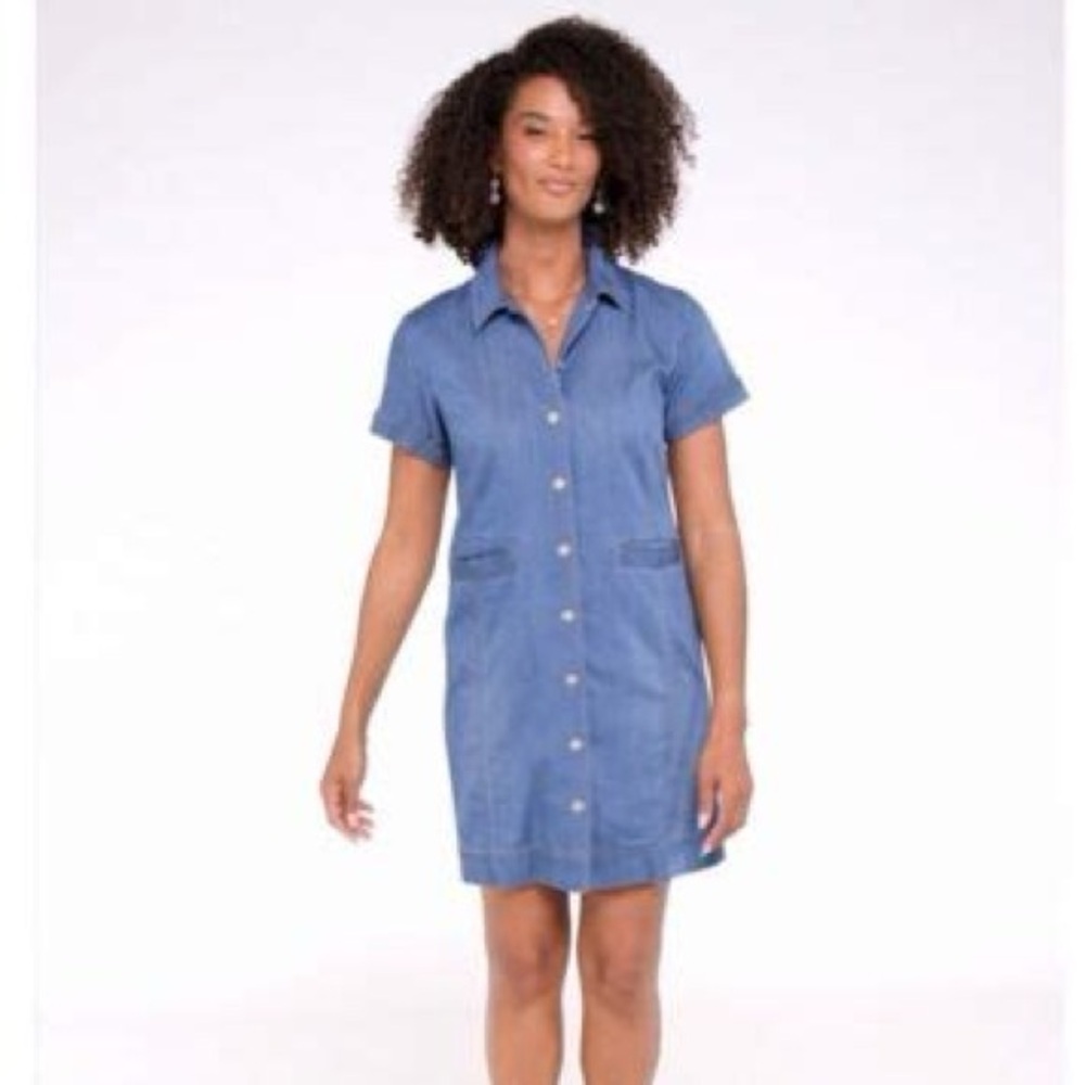 Cabi 6580 Piece of Cake Dress size S